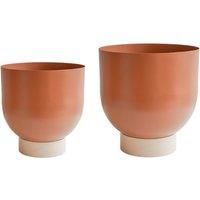 Ivyline Austin Dual Rubarb Metal Planters Set Of 2