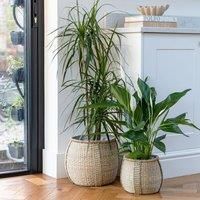 Ivyline Pando Seagrass Basket Natural Set Of 2, Brown