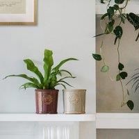 Ivyline Kew Reactive Glaze Plum Planter