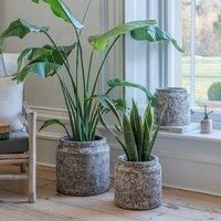 Kew Volcanic Texured Plant Pot