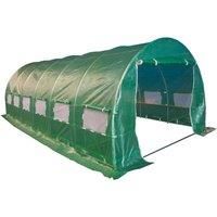 BIRCHTREE Fully Galvanised Frame Polytunnel Greenhouse Pollytunnel Poly Tunnel