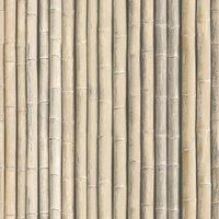 G67940 - Organic Textures Bamboo Canes Neutral Beige Galerie Wallpaper