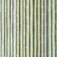 G67941 - Organic Textures Bamboo Canes Fresh Green Galerie Wallpaper
