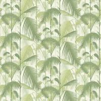 Cole & Son Wallpaper Palm Jungle 95/1001