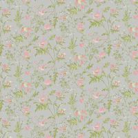 Cole & Son Wallpaper Hummingbirds 124/1003