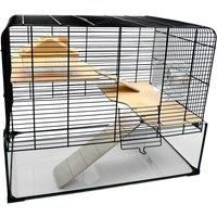Gerbils Dwarf Rat Syrian Hamster Glass Cage Gerbilarium Small Pets - The Savoy