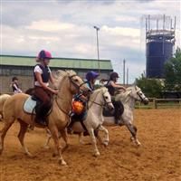 Buyagift One Hour Horse Riding Gift Experience