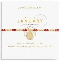 Joma Jewellery A Little January Birthstone Bracelet