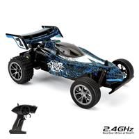 CMJ RC Cars 116HSRB Blue Remote Zoom Buggy 1:16 Electric Radio Controlled Car High Speed Racer 2.4Ghz