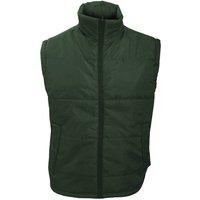 https://www.burton.co.uk/product/result-core-bodywarmer-water-repellent-windproof-jacket_p-658deb75-843c-41e8-b0e2-e79868f2fe50£colour=Bottle%20Green&size=M