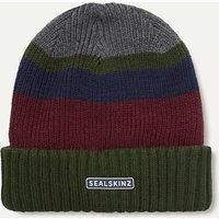 SEALSKINZ Cromer Waterproof Cold Weather Roll Cuff Striped Beanie | Olive | L/XL | Winter Hat