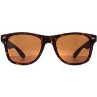 Montana Sunglasses MP1B-XL B Turtle Brown Polarized