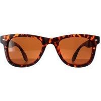 Montana Sunglasses FS40 A Turtle Brown Polarized