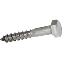 Apex Stainless Steel Coach Screw M6 x 60 (10 Pack) in Silver