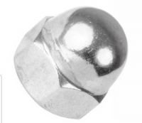 Stainless Steel Dome Nut M12,qty 10