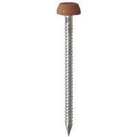 TIMCO - 30mm Polymer Headed Pin - Clay Brown - 250 PCS