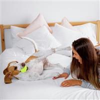 Activity Superstore Dog Friendly Hotel Stays For Two