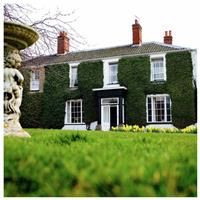 Activity Superstore Stay With Dinner At The Grove For Two