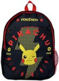 Pokemon Large Art Set