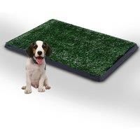 Pawhut Indoor Pet Toilet Training Mat