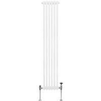 Traditional Horizontal Vertical Radiators 2 & 3 Column Heater Grey White Black