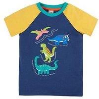 Frugi Boys Renny Raglan T-Shirt - Navy
