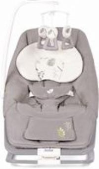 Joie Baby Dreamer Rocker, Fern