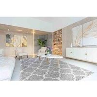 Shaggy Rugs Moroccan Berber Living Room Trellis Design
