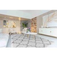 Shaggy Rugs Moroccan Berber Living Room Trellis Design