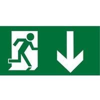 Aurora EN-LG2D Emergency Exit Down Legend 145 x 290mm (661HK)