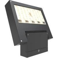 4lite Outdoor LED High Performance Projector Light Graphite 25W 2200lm (656GR)