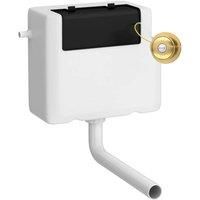 Hudson Reed Universal Access Cistern & Traditional Brushed Brass Flush Plate - White