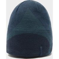 Montane Men's Logo Beanie, Blue