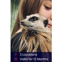 Meerkat Encounter for Two Gift Experience