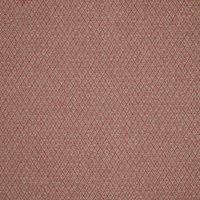 iLiv Hindi Fabric Carnelian