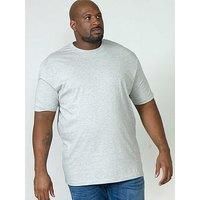 D555 Duke Mens Kingsize Crew Neck Plain Cotton T-Shirt Ribbed Light Grey 4XL (Flyers 81)