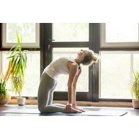 Online Yoga & Meditation Training Course