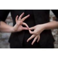 British Sign Language Online Course - Level 1 & 2!