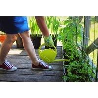 Growing Food In Small Gardens Online Course