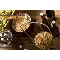 Home Brewing Beer Cpd Certified Online Course
