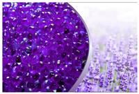 Canadian Spa Company Hot Tub Aromatherapy Lavender Relax