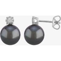 18ct White Gold Tahitian Pearl and Diamond Stud Earrings EOX80216DD