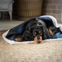 Lords and Labradors Essentials Twill Blanket Linen, Cream