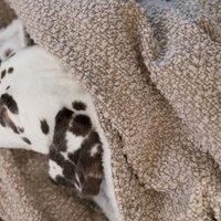 Lords and Labradors Boucle Blanket Mink Boucle M, Grey