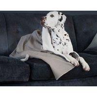Lords and Labradors Savanna Dog Blanket