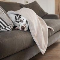 Lords and Labradors Herringbone Tweed Dog Blanket