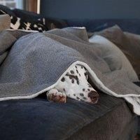 Lords and Labradors Herringbone Tweed Dog Blanket