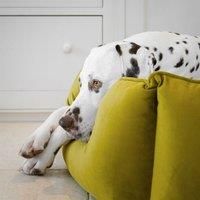 Lords and Labradors Velvet High Wall Dog Bed