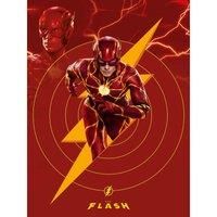 The Flash Movie (Energy) 30X40
