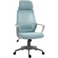 Vinsetto Ergonomic Office Chair, High Back Computer Chair, Mesh Desk Chair with Lumbar Support, Headrest, Wheel, Adjustable Height, Blue